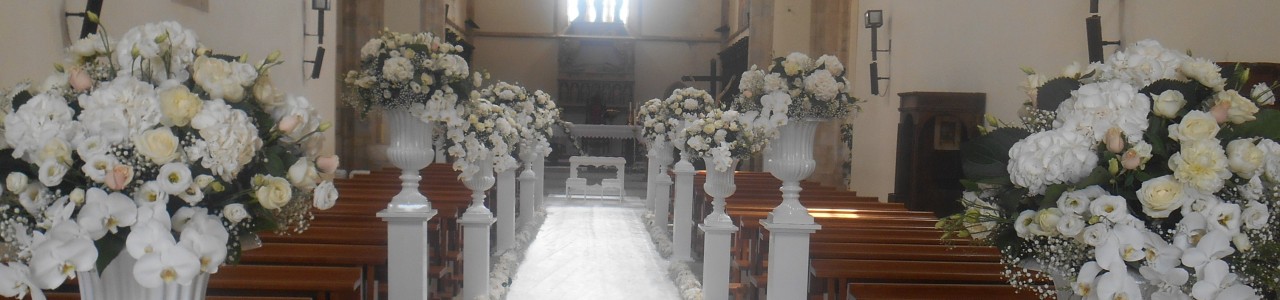 DSCN1236 - Version 2