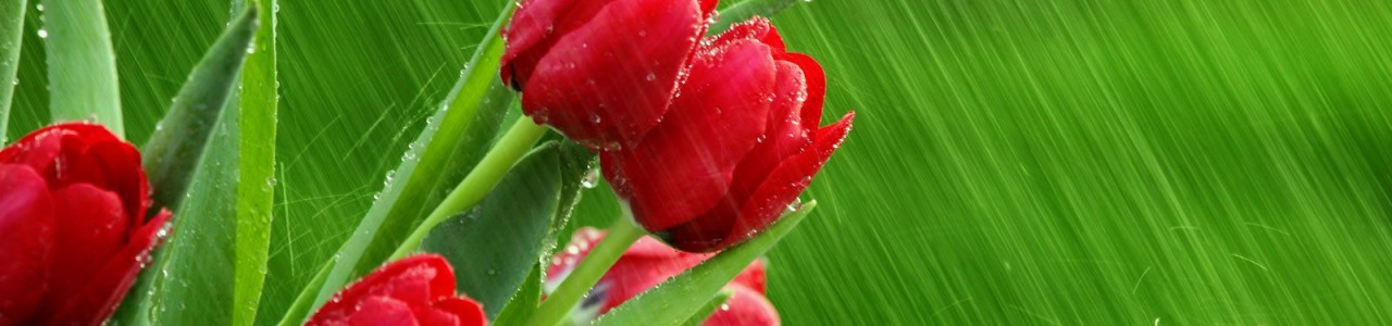 april_showers-normal